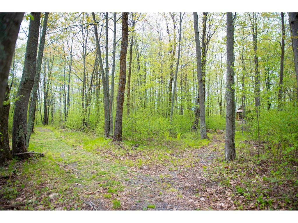 TBD-20AC Velvet Street Kroschel Twp MN 55072 7086612 image40