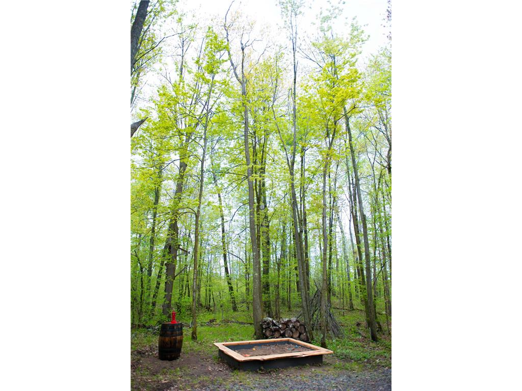 TBD-20AC Velvet Street Kroschel Twp MN 55072 7086612 image43