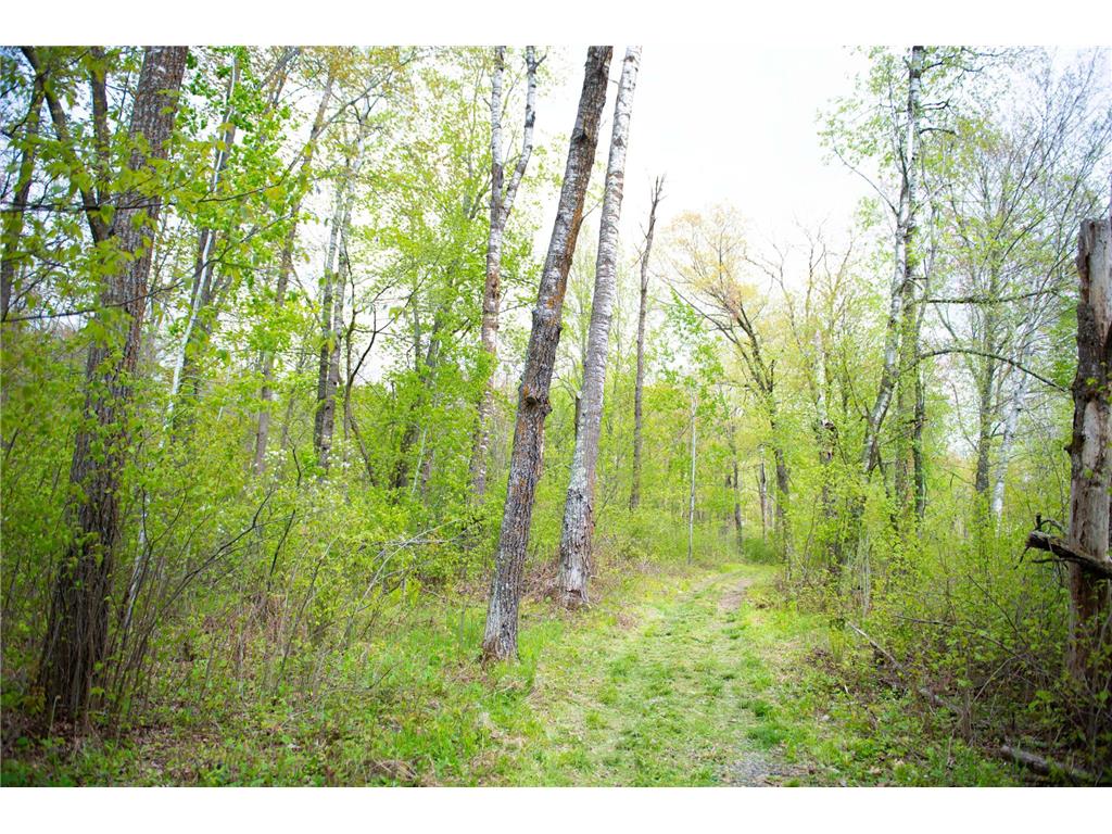 TBD-20AC Velvet Street Kroschel Twp MN 55072 7086612 image45