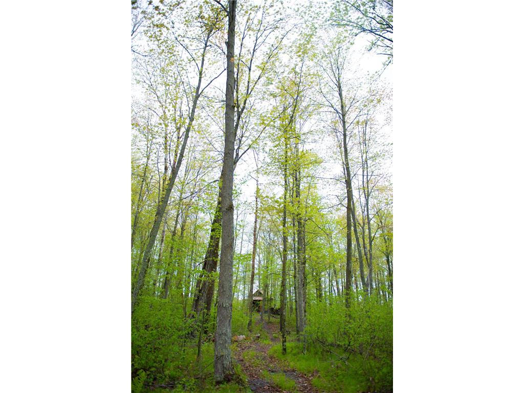 TBD-20AC Velvet Street Kroschel Twp MN 55072 7086612 image50
