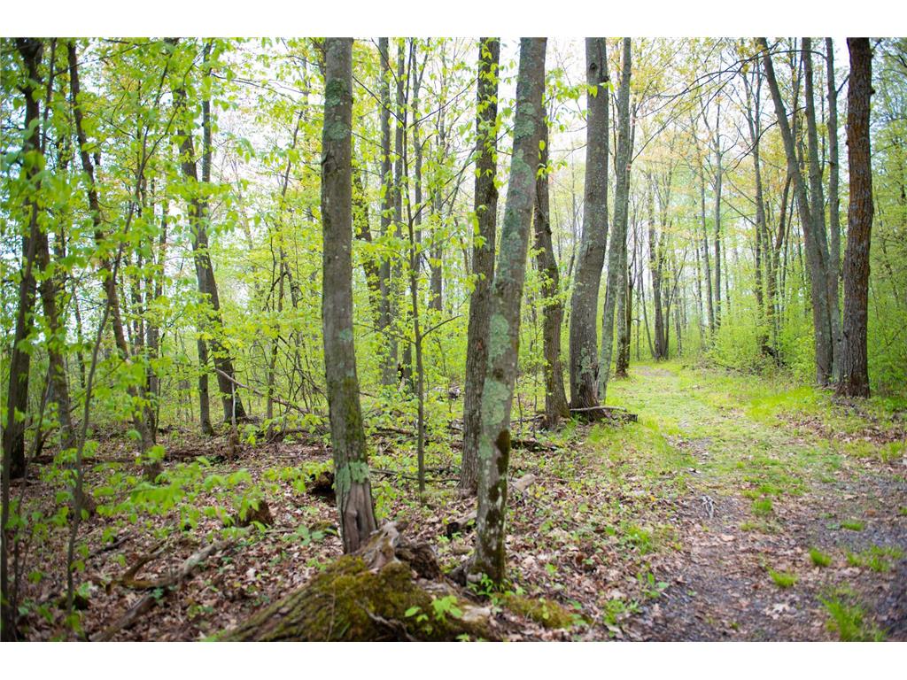 TBD-20AC Velvet Street Kroschel Twp MN 55072 7086612 image56