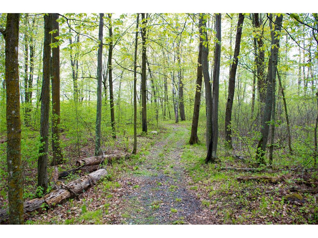 TBD-20AC Velvet Street Kroschel Twp MN 55072 7086612 image58
