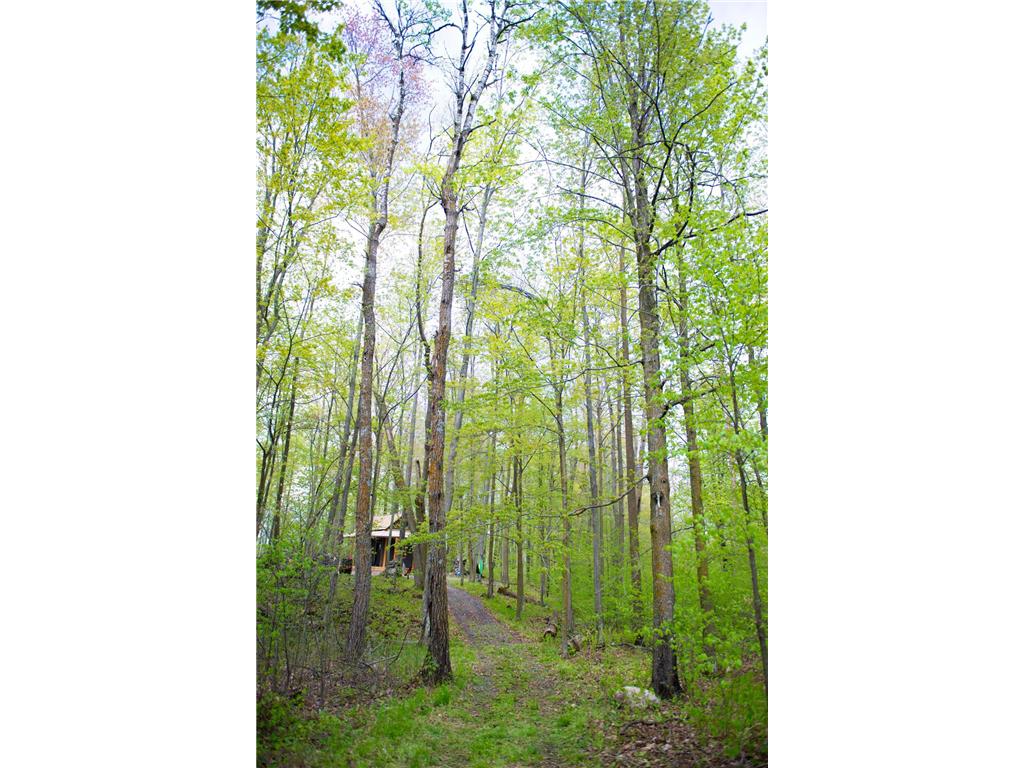 TBD-20AC Velvet Street Kroschel Twp MN 55072 7086612 image60
