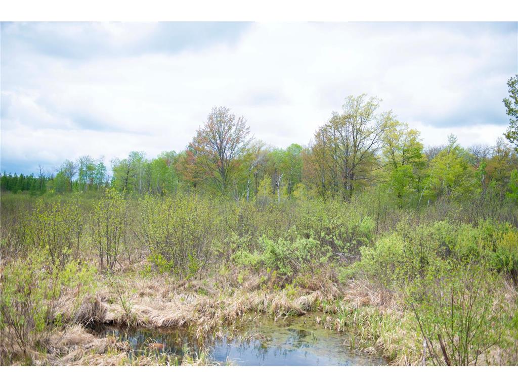 TBD-20AC Velvet Street Kroschel Twp MN 55072 7086612 image62