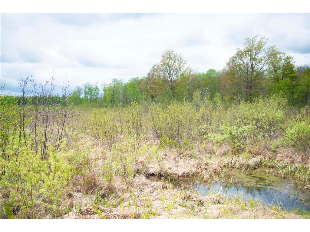 TBD-20AC Velvet Street Kroschel Twp MN 55072 7086612 image64