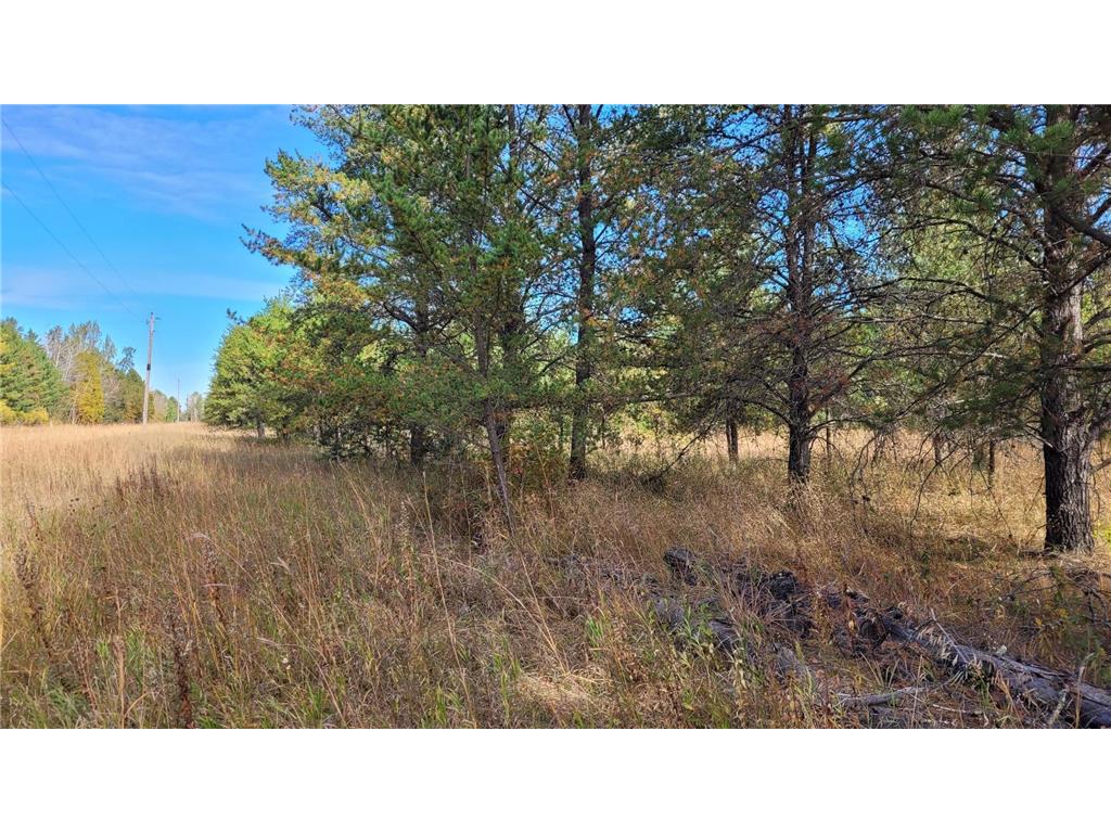 TBD* 20th Avenue NW Backus MN 56435 6614910 image1