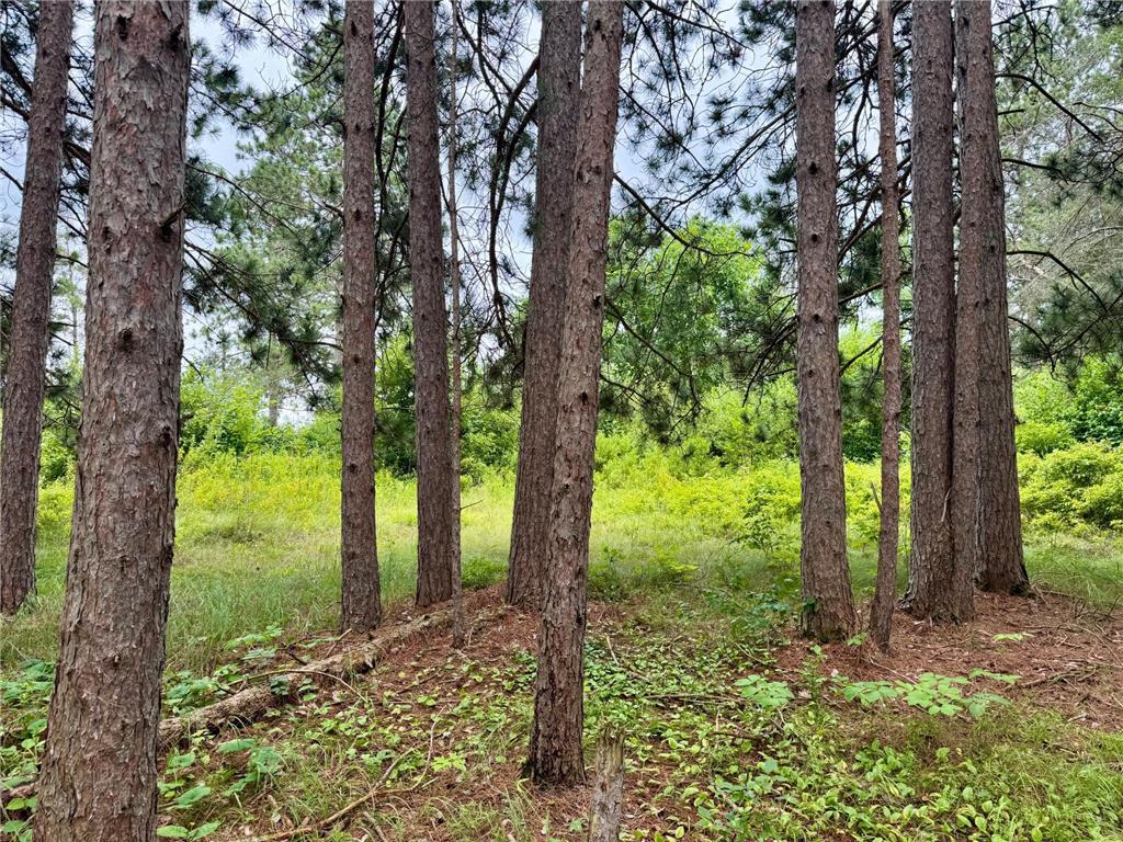 TBD 20th St. SW 20 St. SW Bull Moose Twp MN 56474 6757775 image11