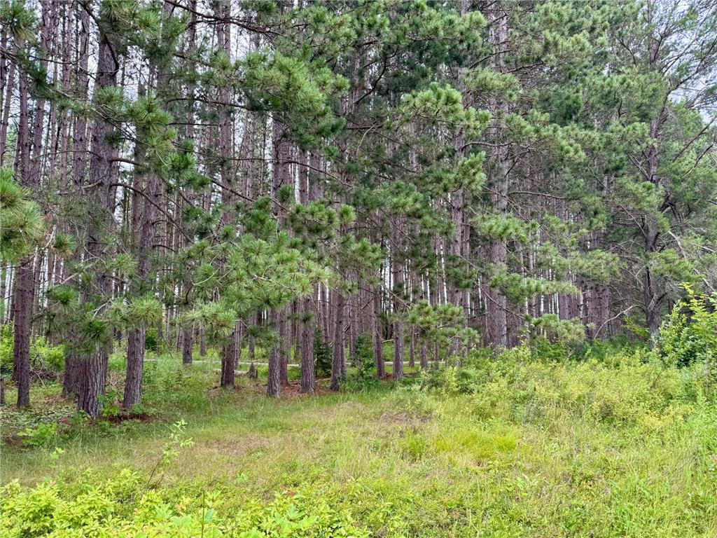 TBD 20th St. SW 20 St. SW Bull Moose Twp MN 56474 6757775 image18