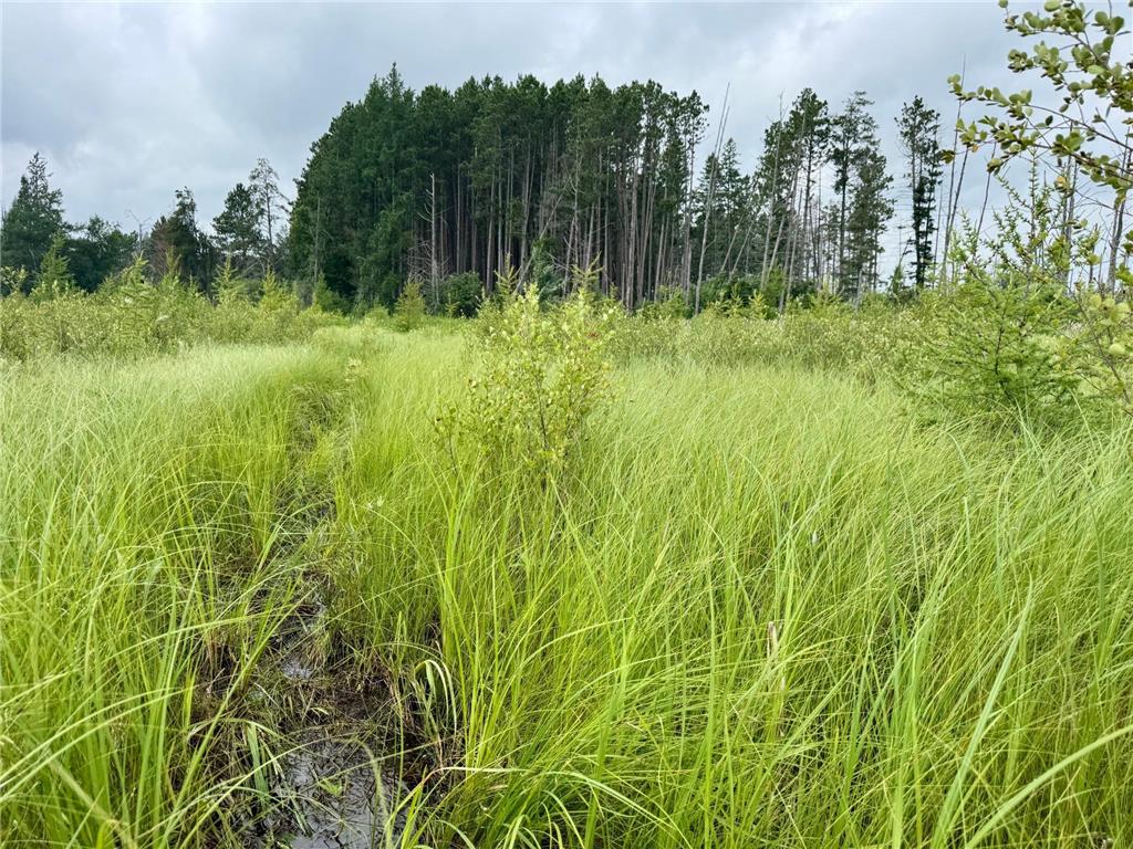 TBD 20th St. SW 20 St. SW Bull Moose Twp MN 56474 6757775 image20