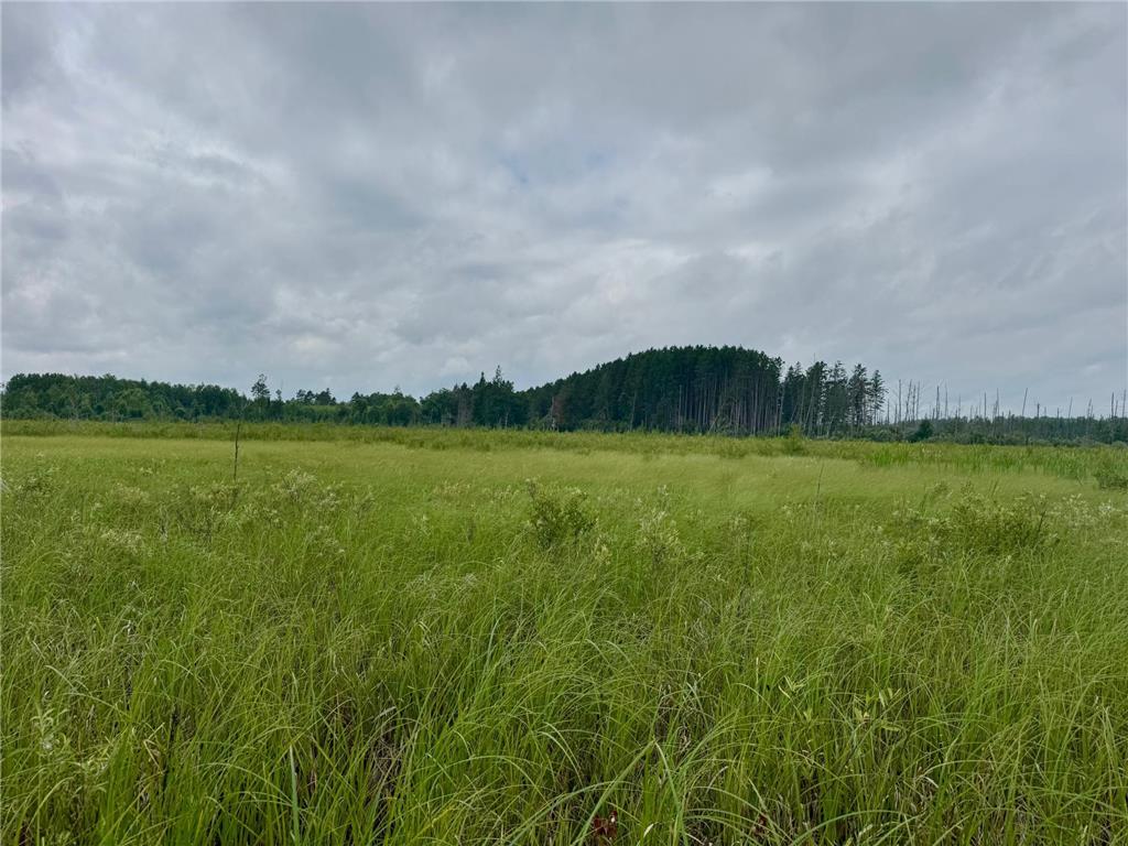 TBD 20th St. SW 20 St. SW Bull Moose Twp MN 56474 6757775 image21