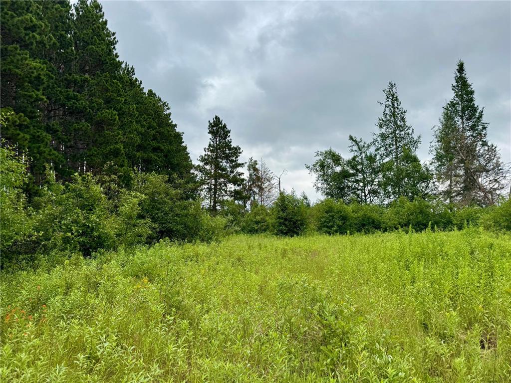 TBD 20th St. SW 20 St. SW Bull Moose Twp MN 56474 6757775 image6