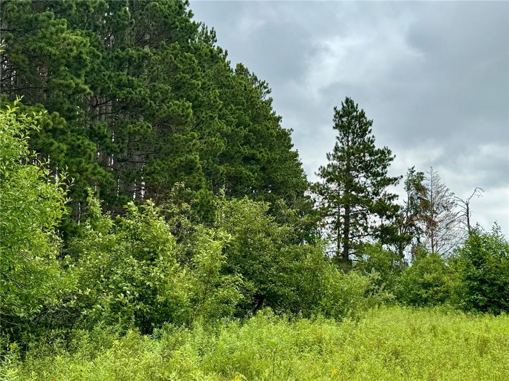 TBD 20th St. SW 20 St. SW Bull Moose Twp MN 56474 6757775 image7