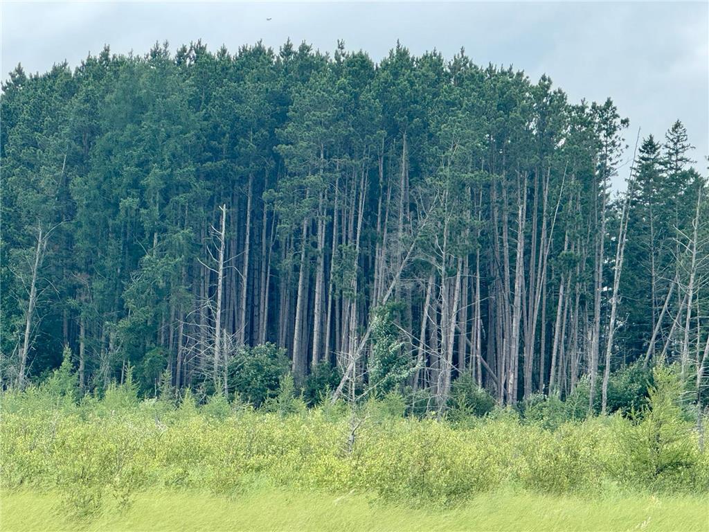 TBD 20th St. SW 20 St. SW Bull Moose Twp MN 56474 6757775 image8