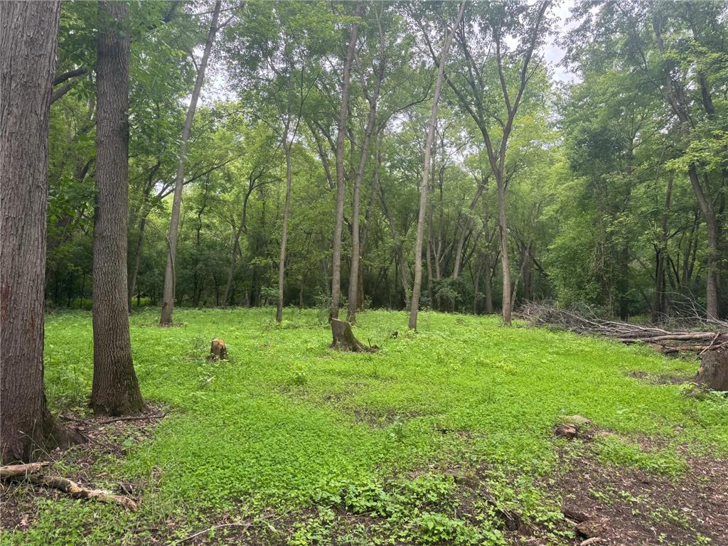 TBD 20th Street SE Santiago Twp MN 55319 7051881 image10