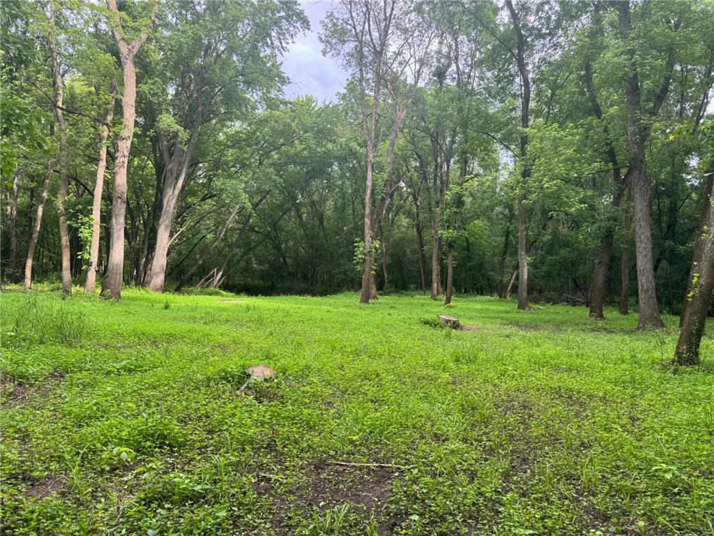 TBD 20th Street SE Santiago Twp MN 55319 7051881 image12