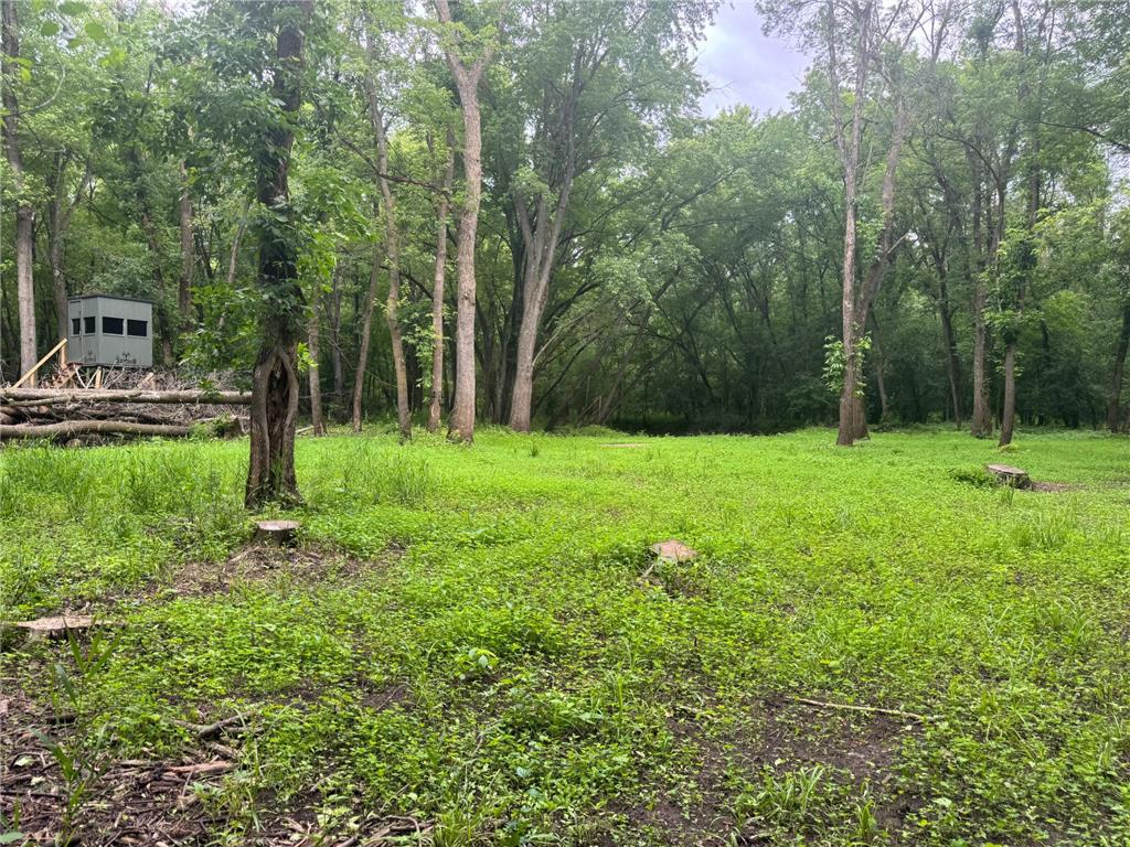 TBD 20th Street SE Santiago Twp MN 55319 7051881 image13