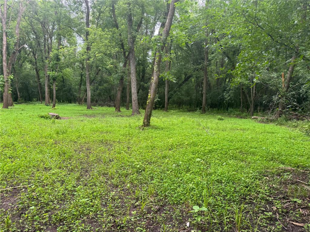 TBD 20th Street SE Santiago Twp MN 55319 7051881 image14