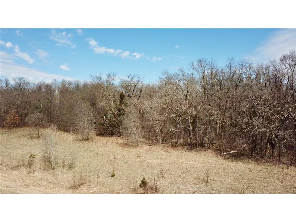 TBD 20th Street SE Santiago Twp MN 55319 7051881 image19