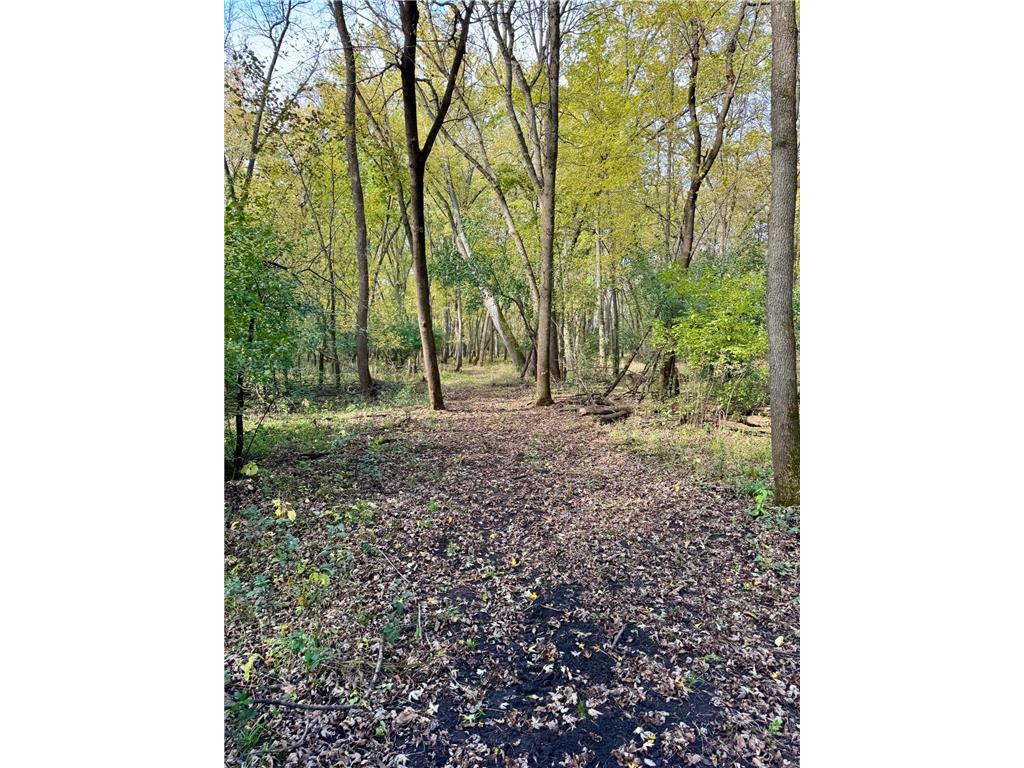 TBD 20th Street SE Santiago Twp MN 55319 7051881 image22