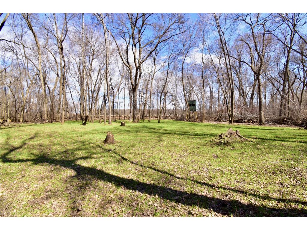 TBD 20th Street SE Santiago Twp MN 55319 7051881 image29
