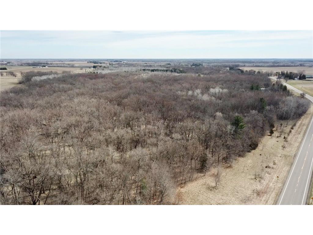 TBD 20th Street SE Santiago Twp MN 55319 7051881 image3