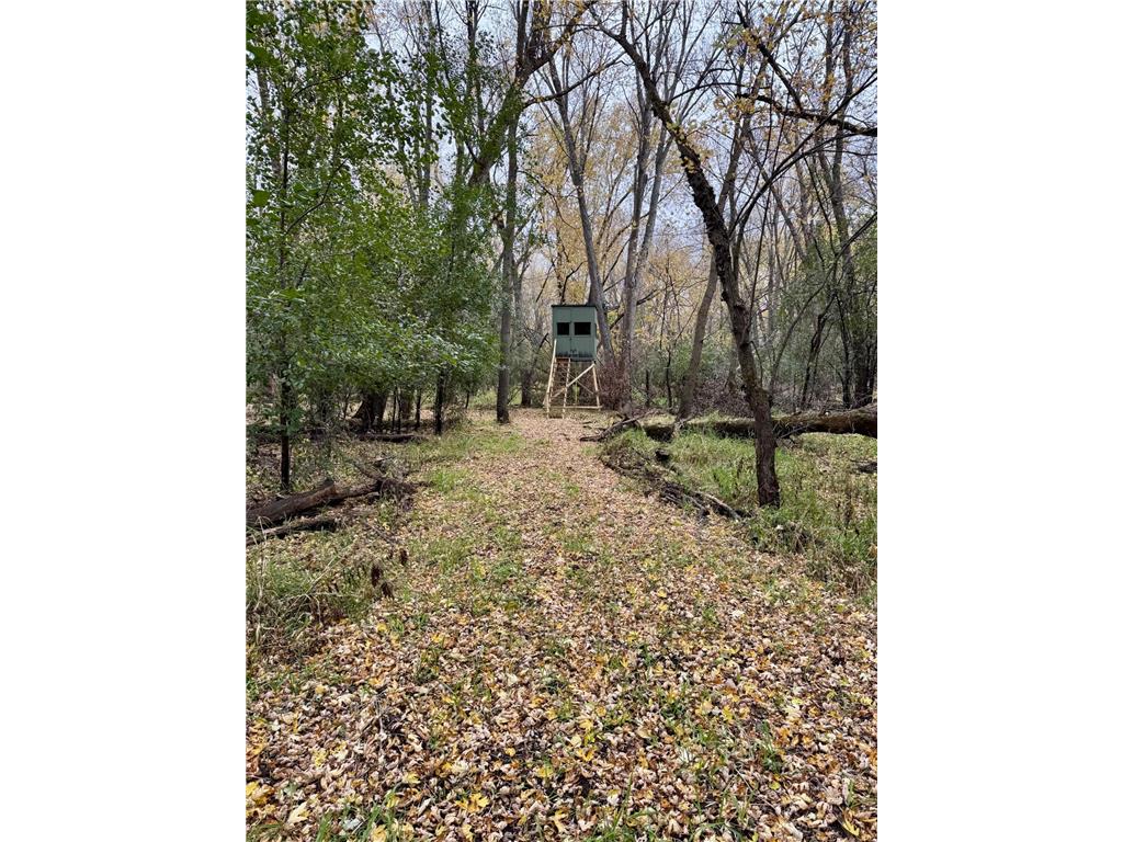 TBD 20th Street SE Santiago Twp MN 55319 7051881 image31