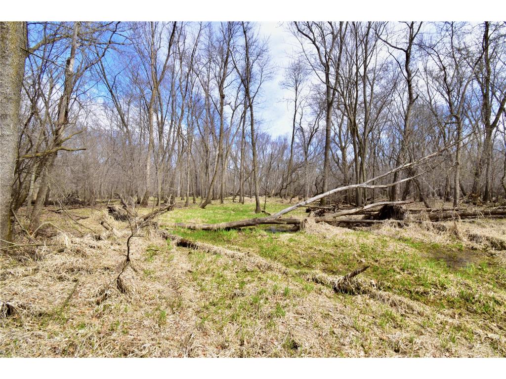 TBD 20th Street SE Santiago Twp MN 55319 7051881 image32