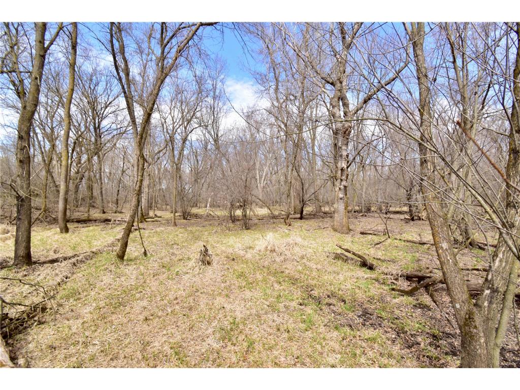 TBD 20th Street SE Santiago Twp MN 55319 7051881 image33