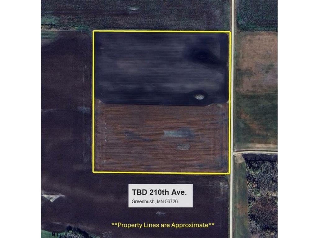 TBD 210th Avenue Greenbush MN 56726 6679446 image1