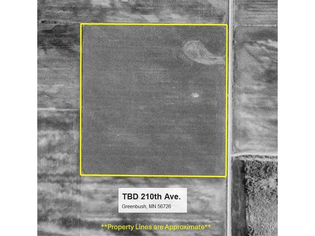 TBD 210th Avenue Greenbush MN 56726 6679446 image10