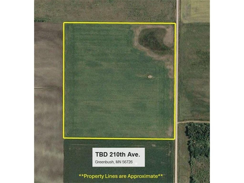TBD 210th Avenue Greenbush MN 56726 6679446 image11