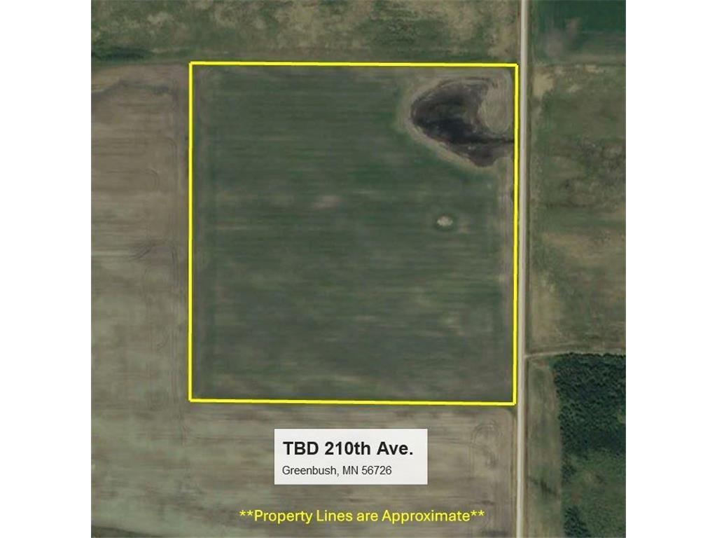 TBD 210th Avenue Greenbush MN 56726 6679446 image12
