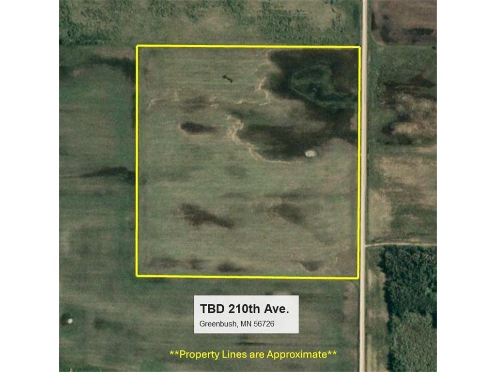 TBD 210th Avenue Greenbush MN 56726 6679446 image13