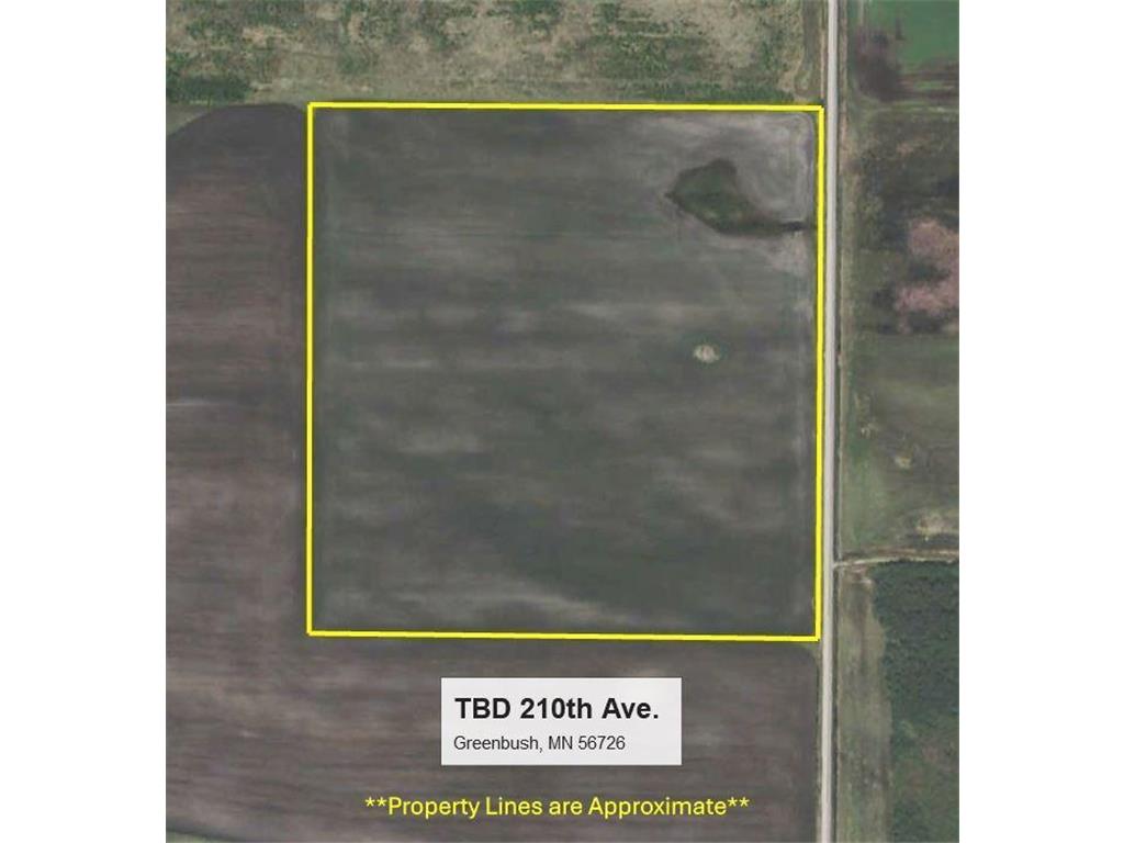 TBD 210th Avenue Greenbush MN 56726 6679446 image14