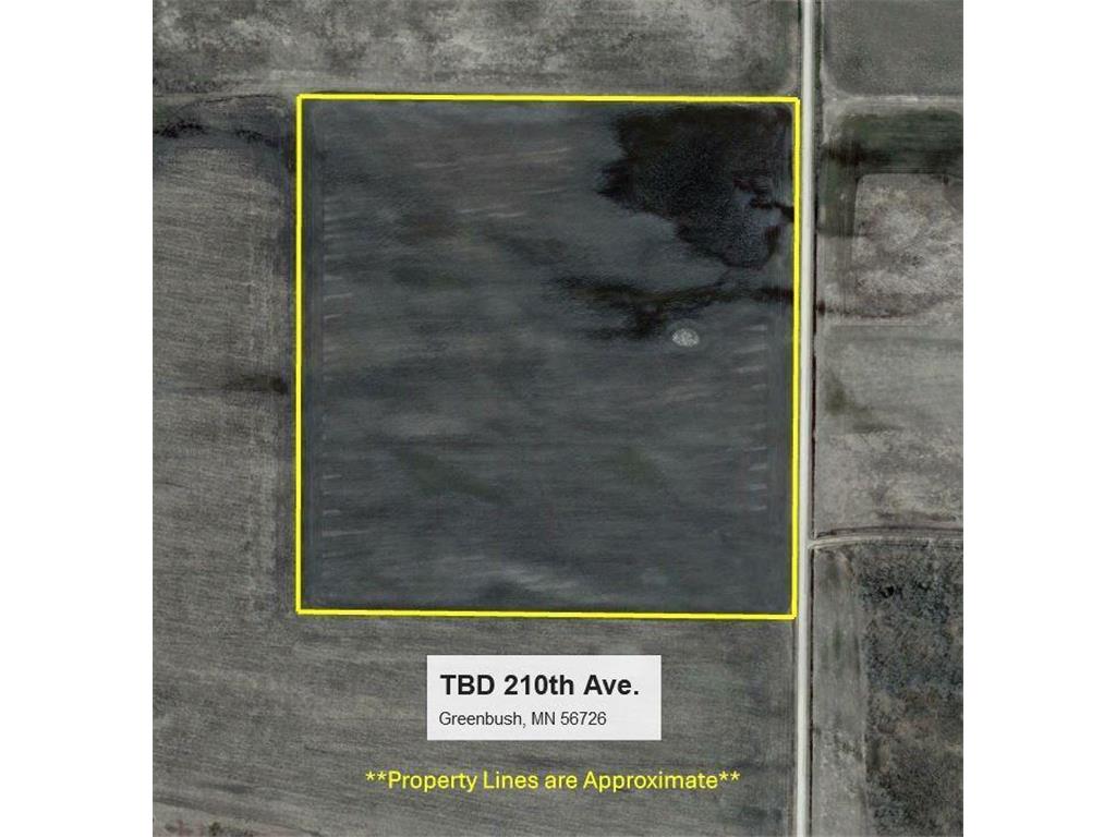 TBD 210th Avenue Greenbush MN 56726 6679446 image15
