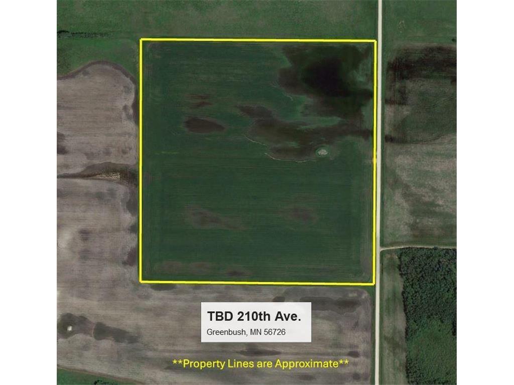 TBD 210th Avenue Greenbush MN 56726 6679446 image16