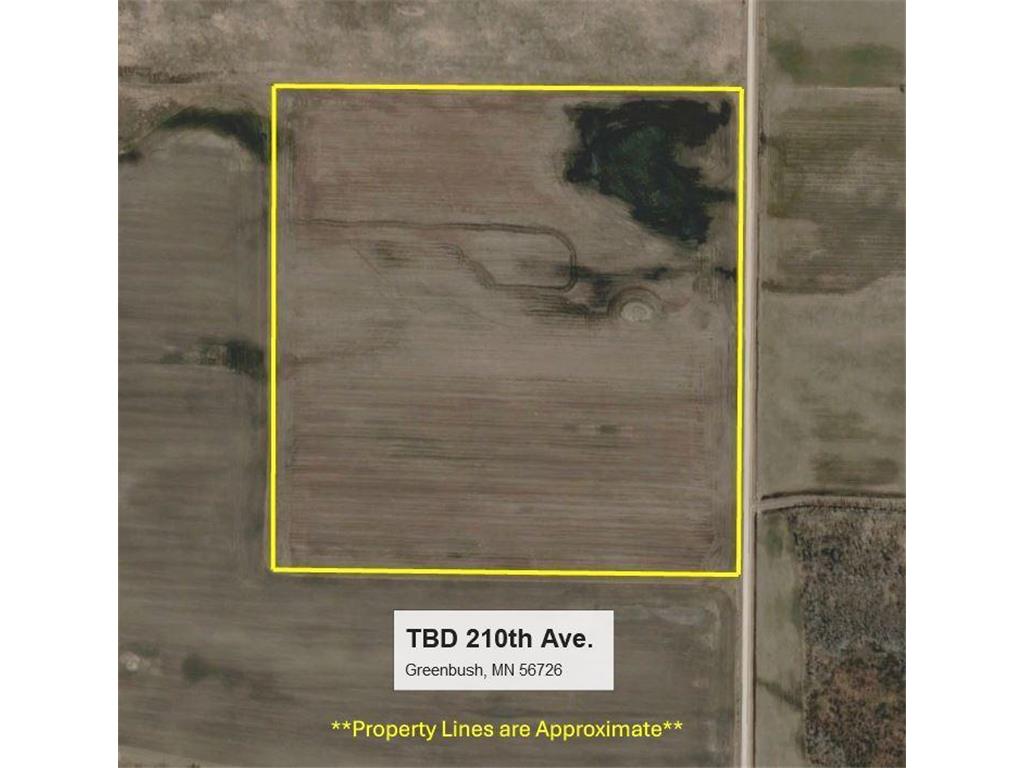 TBD 210th Avenue Greenbush MN 56726 6679446 image17
