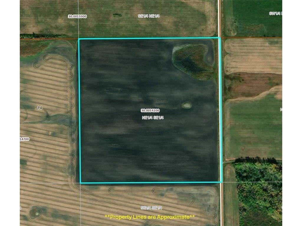 TBD 210th Avenue Greenbush MN 56726 6679446 image18