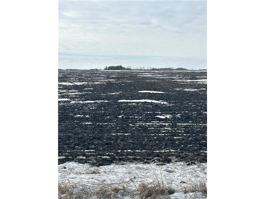 TBD 210th Avenue Greenbush MN 56726 6679446 image4