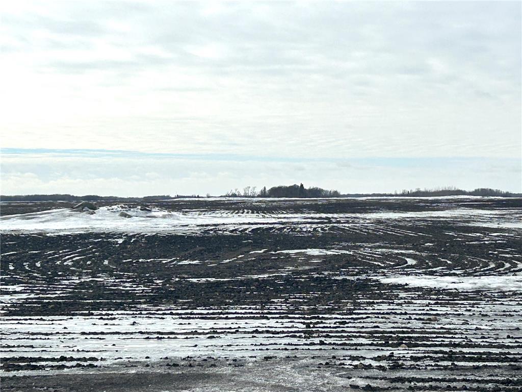 TBD 210th Avenue Greenbush MN 56726 6679446 image5