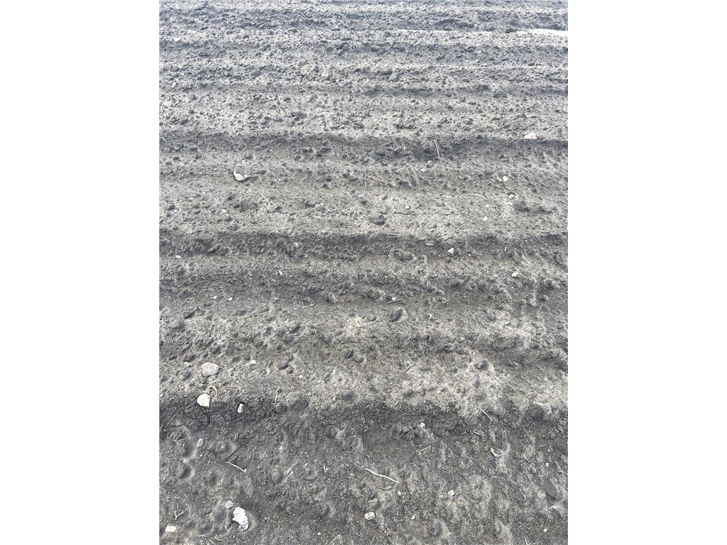 TBD 210th Avenue Greenbush MN 56726 6679446 image6