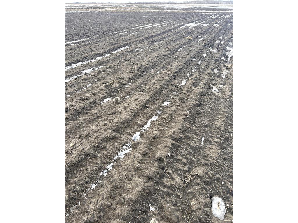 TBD 210th Avenue Greenbush MN 56726 6679446 image7