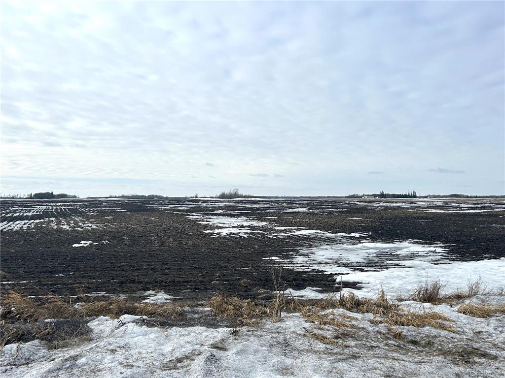 TBD 210th Avenue Greenbush MN 56726 6679446 image8