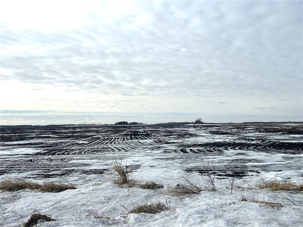 TBD 210th Avenue Greenbush MN 56726 6679446 image9