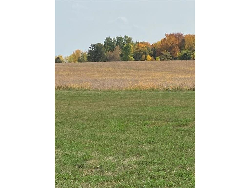 TBD 210th Street Wakefield Twp MN 56320 6694028 image1