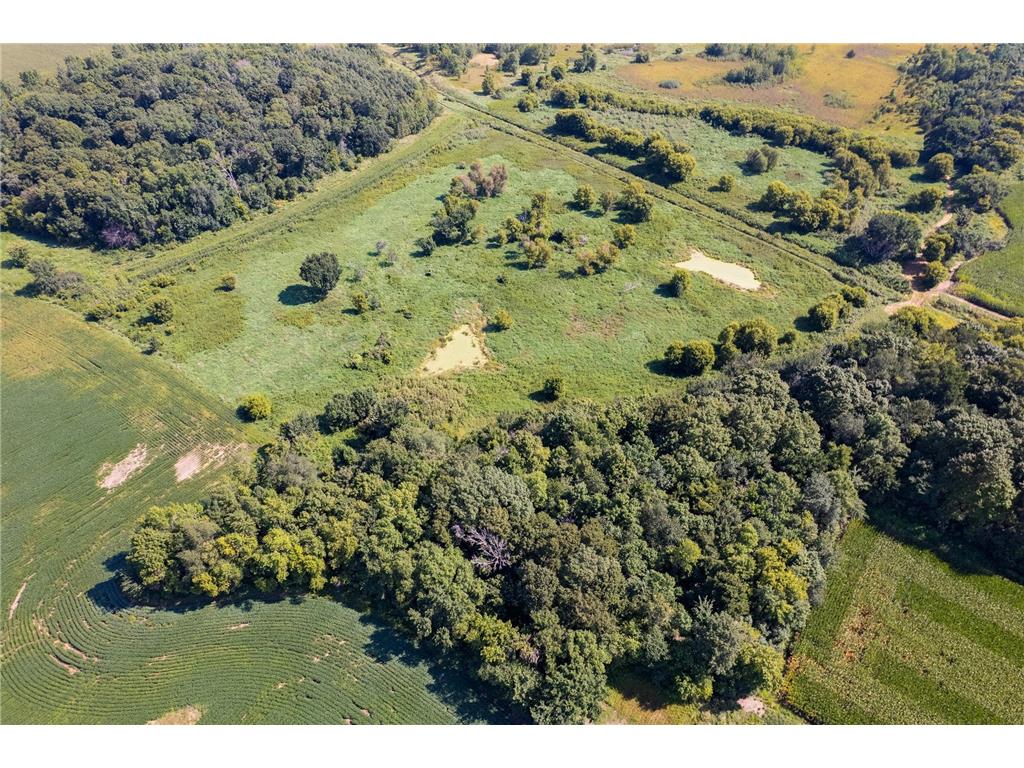 TBD 211th Avenue Lexington Twp MN 56057 6784470 image1