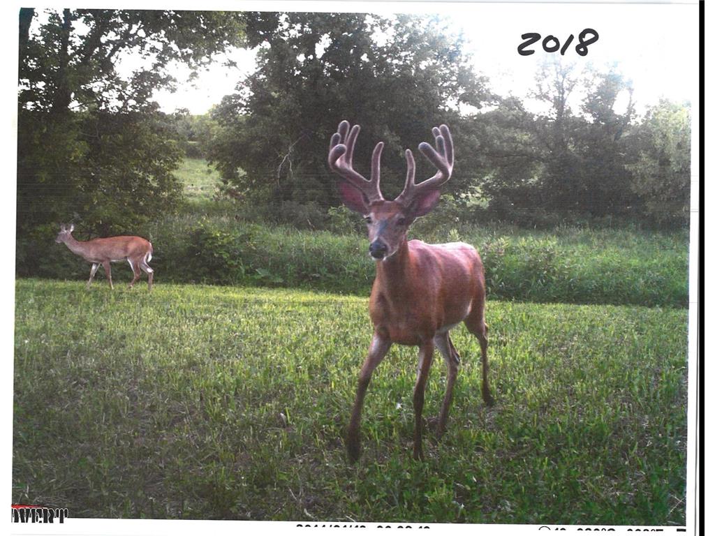 TBD 211th Avenue Lexington Twp MN 56057 6784470 image34