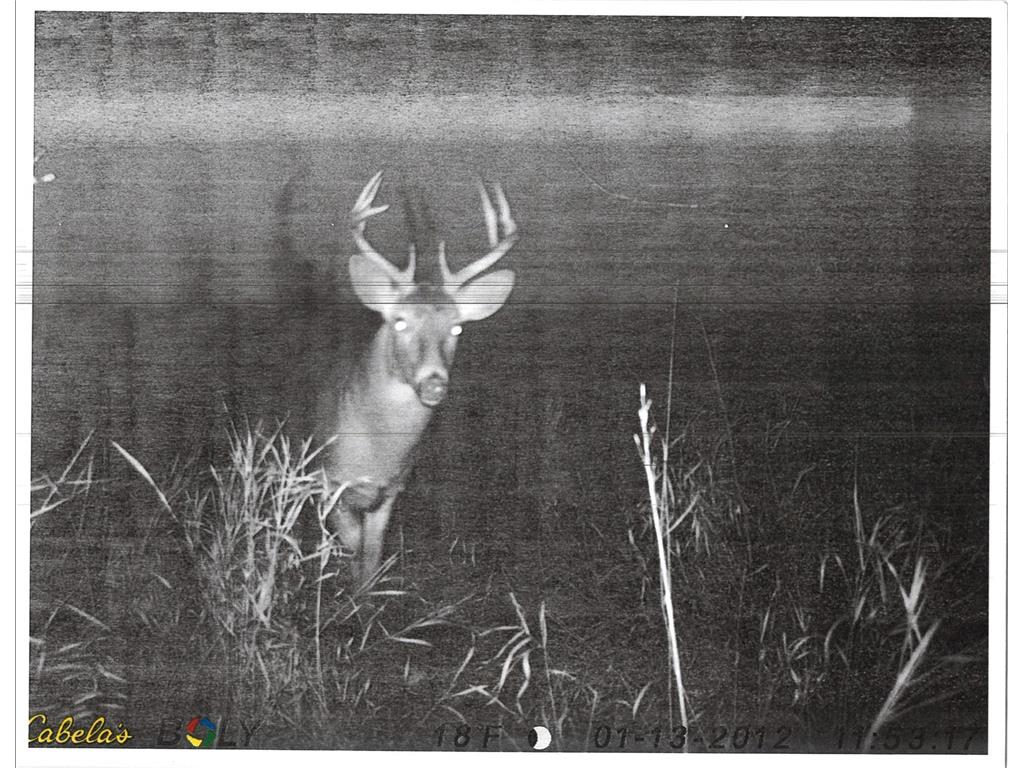 TBD 211th Avenue Lexington Twp MN 56057 6784470 image35