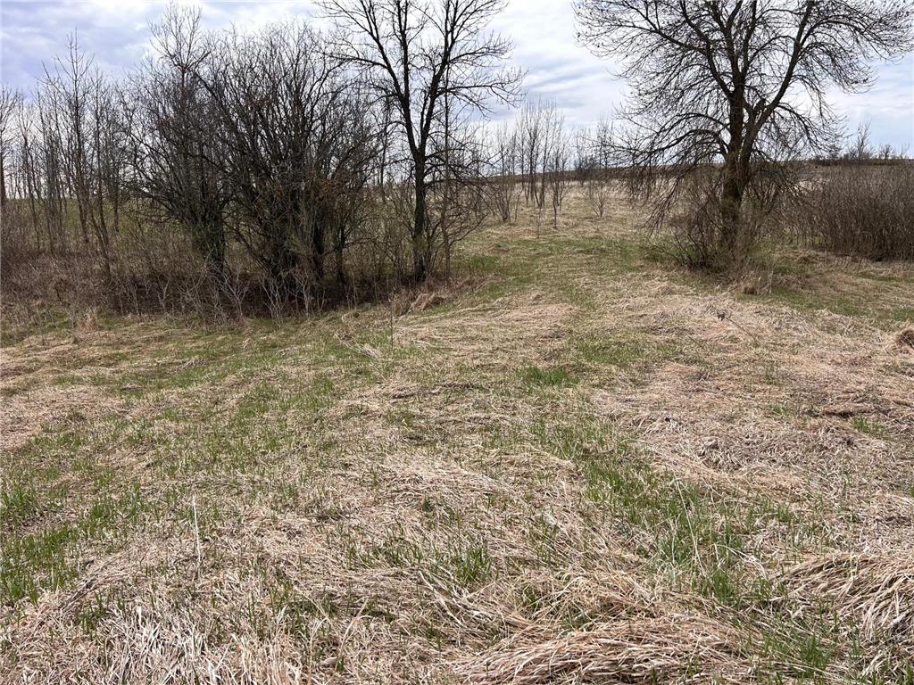 Lot 20 215th Street Barrett MN 56311 7064902 image1