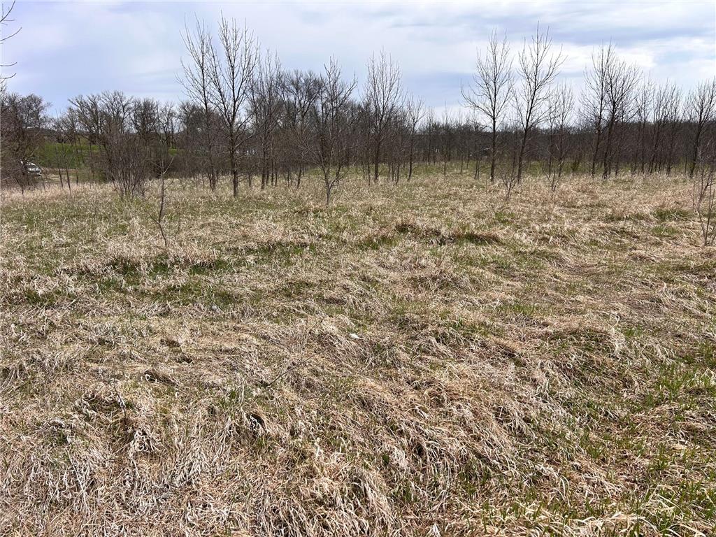 Lot 20 215th Street Barrett MN 56311 7064902 image3